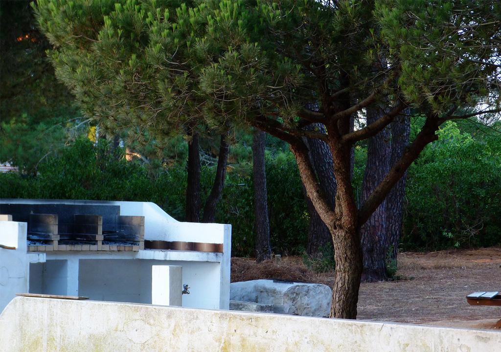 מלון Parque De Campismo Orbitur סאגרש מראה חיצוני תמונה